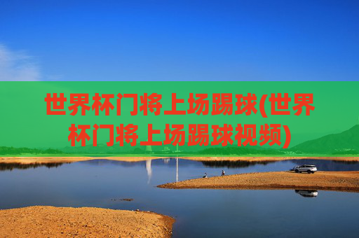 世界杯门将上场踢球(世界杯门将上场踢球视频)