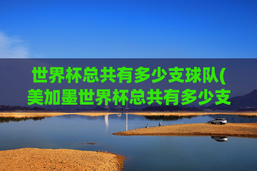 世界杯总共有多少支球队(美加墨世界杯总共有多少支球队)
