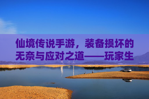 仙境传说手游,装备损坏的无奈与应对之道——玩家生存指南