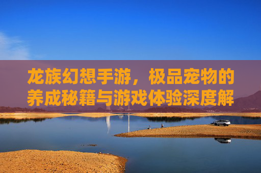 龙族幻想手游，极品宠物的养成秘籍与游戏体验深度解析