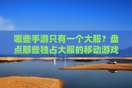 哪些手游只有一个大服?盘点那些独占大服的移动游戏及原因分析,哪些手游只有一个大服?盘点独占大服的移动游戏及原因分析