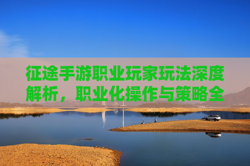 征途手游职业玩家玩法深度解析,职业化操作与策略全攻略