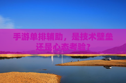 手游单排辅助,是技术壁垒还是心态考验?