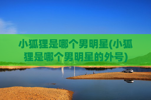 小狐狸是哪个男明星(小狐狸是哪个男明星的外号)