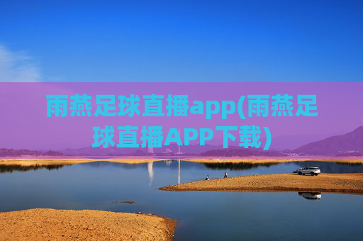 雨燕足球直播app(雨燕足球直播APP下载)