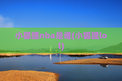 小狐狸nba是谁(小狐狸lol)