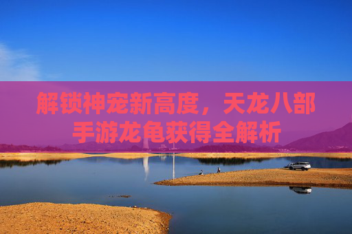 解锁神宠新高度,天龙八部手游龙龟获得全解析