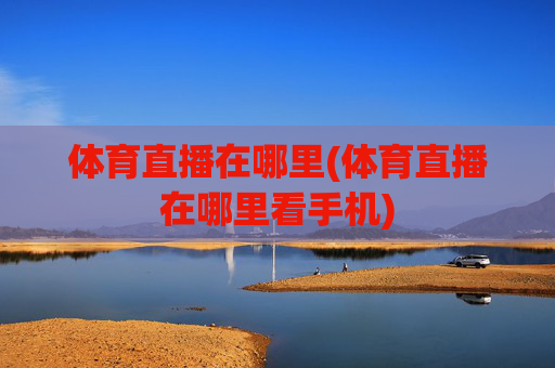 体育直播在哪里(体育直播在哪里看手机)