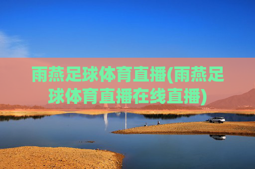 雨燕足球体育直播(雨燕足球体育直播在线直播)