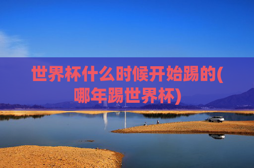 世界杯什么时候开始踢的(哪年踢世界杯)