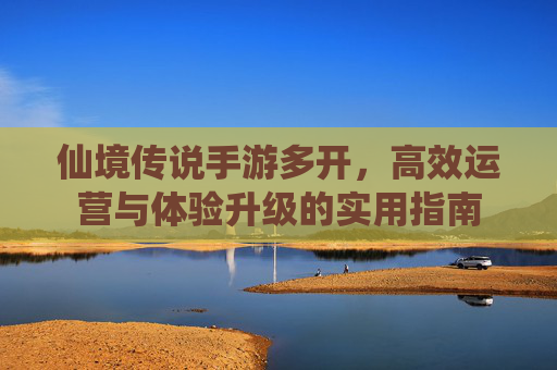 仙境传说手游多开,高效运营与体验升级的实用指南