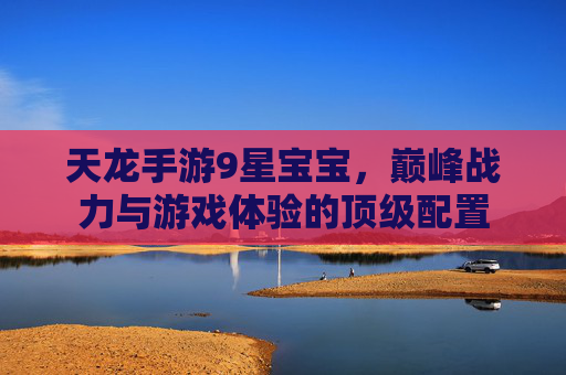 天龙手游9星宝宝，巅峰战力与游戏体验的顶级配置
