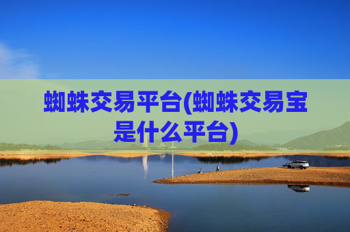 蜘蛛交易平台(蜘蛛交易宝是什么平台)