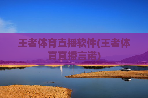 王者体育直播软件(王者体育直播言诺)