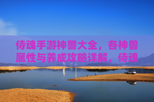 侍魂手游神兽大全，各神兽属性与养成攻略详解，侍魂手游神兽大全，各神兽属性与养成攻略详解