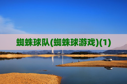 蜘蛛球队(蜘蛛球游戏)(1)
