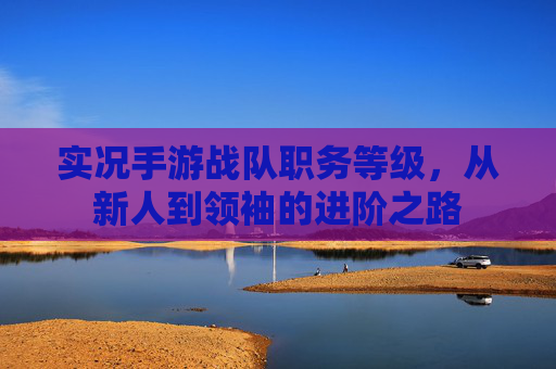 实况手游战队职务等级，从新人到领袖的进阶之路