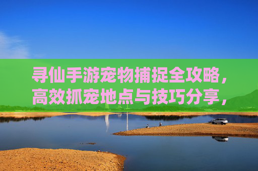 寻仙手游宠物捕捉全攻略,高效抓宠地点与技巧分享,寻仙手游宠物捕捉全攻略,高效抓宠地点与技巧分享