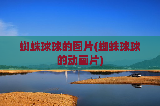 蜘蛛球球的图片(蜘蛛球球的动画片)