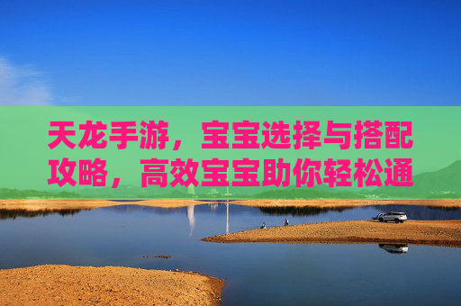 天龙手游,宝宝选择与搭配攻略,高效宝宝助你轻松通关,天龙手游宝宝选择与搭配攻略,高效宝宝助你轻松通关