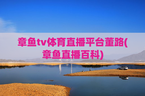 章鱼tv体育直播平台董路(章鱼直播百科)