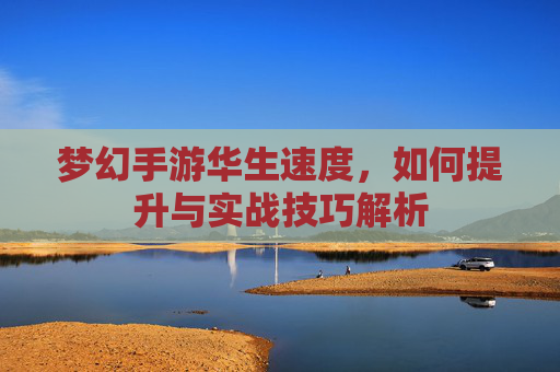 梦幻手游华生速度,如何提升与实战技巧解析
