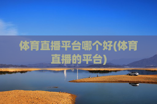 体育直播平台哪个好(体育直播的平台)