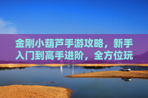 金刚小葫芦手游攻略,新手入门到高手进阶,全方位玩法解析与技巧分享