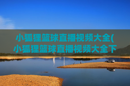小狐狸篮球直播视频大全(小狐狸篮球直播视频大全下载)