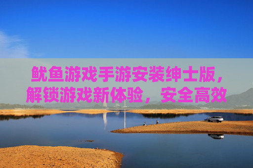 鱿鱼游戏手游安装绅士版,解锁游戏新体验,安全高效获取攻略