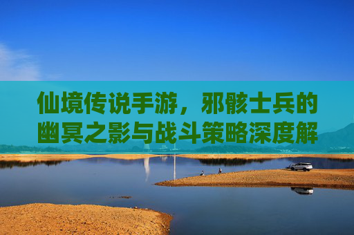 仙境传说手游，邪骸士兵的幽冥之影与战斗策略深度解析，仙境传说手游，邪骸士兵的幽冥之影与战斗策略深度解析