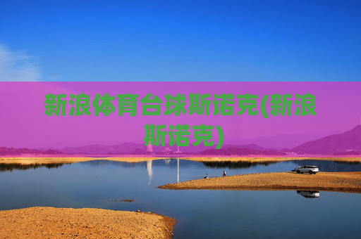 新浪体育台球斯诺克(新浪 斯诺克)