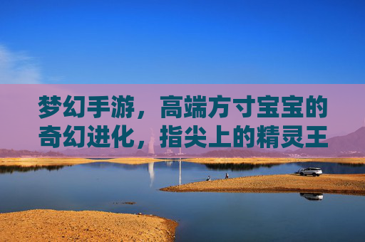 梦幻手游，高端方寸宝宝的奇幻进化，指尖上的精灵王座，梦幻手游，高端方寸宝宝的奇幻进化，指尖上的精灵王座