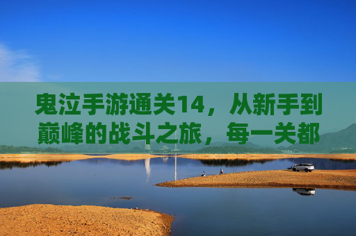 鬼泣手游通关14，从新手到巅峰的战斗之旅，每一关都是对技巧与勇气的考验，鬼泣手游通关14，从新手到巅峰的战斗之旅，技巧与勇气的考验