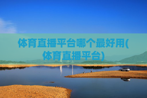 体育直播平台哪个最好用(体育直播平台)