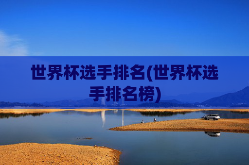 世界杯选手排名(世界杯选手排名榜)