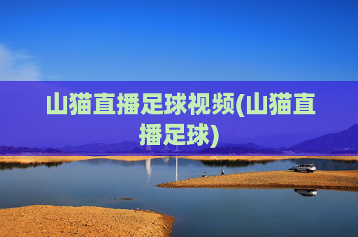 山猫直播足球视频(山猫直播足球)