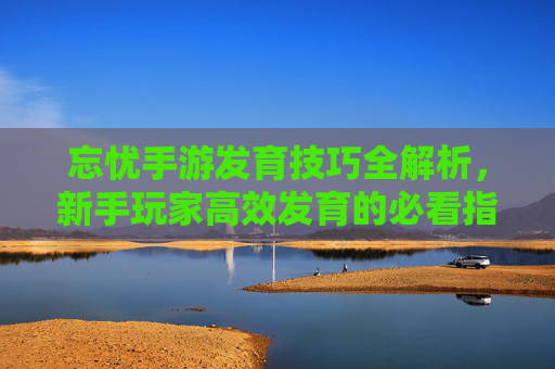 忘忧手游发育技巧全解析，新手玩家高效发育的必看指南