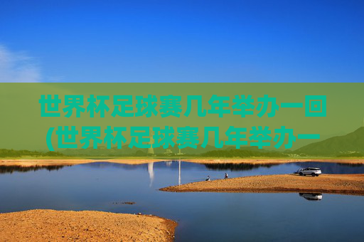 世界杯足球赛几年举办一回(世界杯足球赛几年举办一回啊)