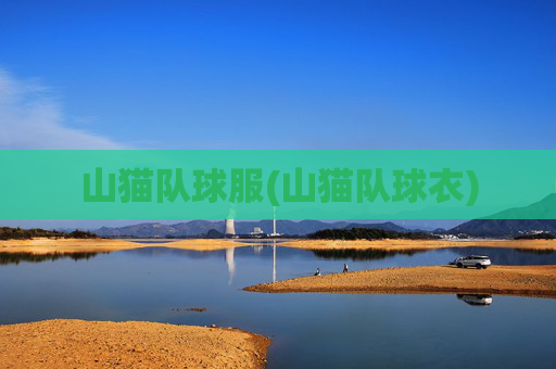 山猫队球服(山猫队球衣)
