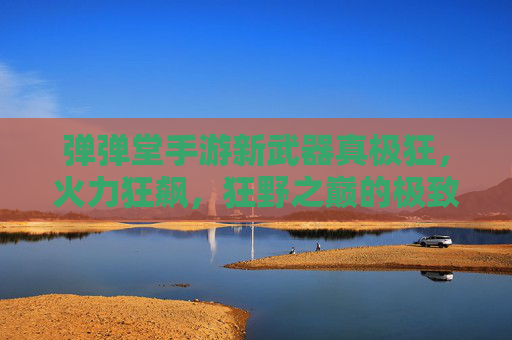 弹弹堂手游新武器真极狂，火力狂飙，狂野之巅的极致体验，弹弹堂手游新武器真极狂，火力狂飙，狂野之巅的极致体验