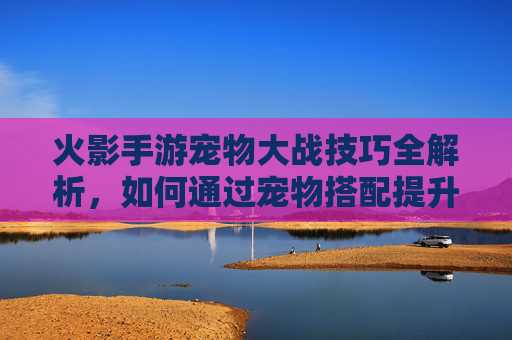 火影手游宠物大战技巧全解析,如何通过宠物搭配提升战斗表现与胜率,火影手游宠物大战技巧全解析,如何通过宠物搭配提升战斗表现与胜率