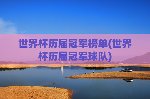 世界杯历届冠军榜单(世界杯历届冠军球队)