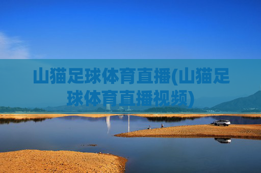 山猫足球体育直播(山猫足球体育直播视频)