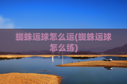 蜘蛛运球怎么运(蜘蛛运球怎么练)