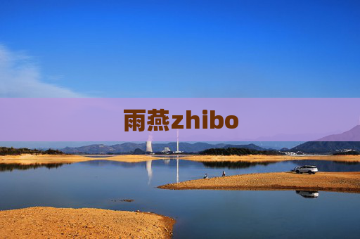 雨燕zhibo