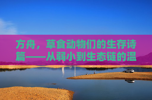 方舟，草食动物们的生存诗篇——从弱小到生态链的温柔力量