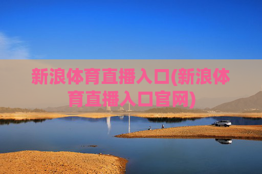 新浪体育直播入口(新浪体育直播入口官网)