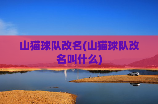 山猫球队改名(山猫球队改名叫什么)