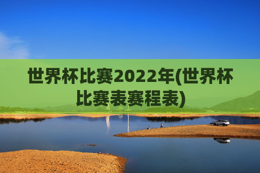 世界杯比赛2022年(世界杯比赛表赛程表)
